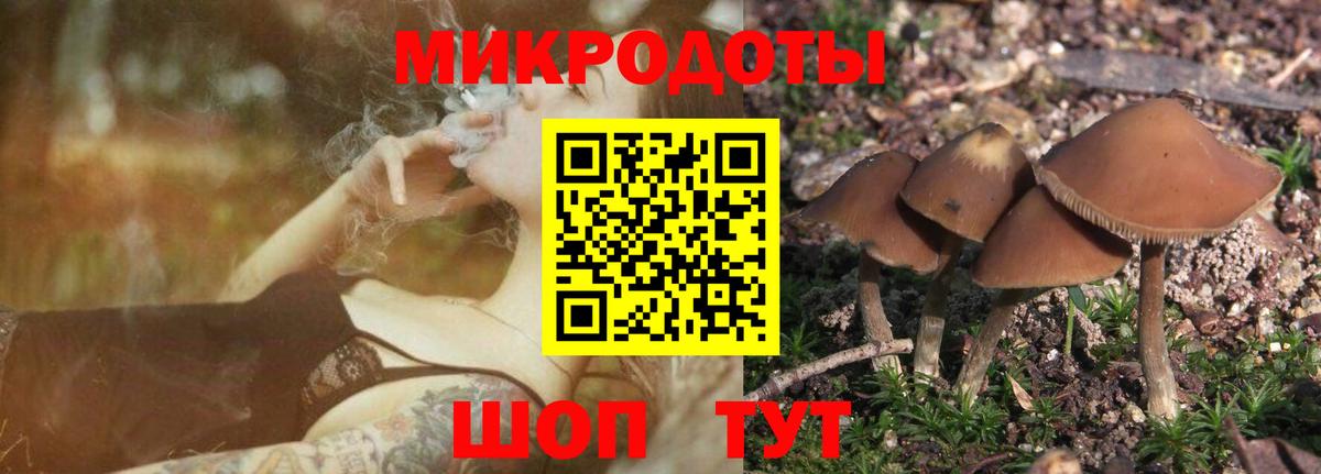 Псилоцибиновые грибы GOLDEN TEACHER  Галлюциногенные грибы мицелий  Грозный  Вход с VPN 