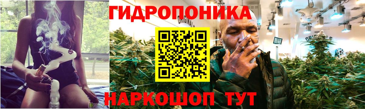 Конопля OG Kush  МАРИХУАНА гибрид  МАРИХУАНА AK-47  Вход с VPN  Грозный 